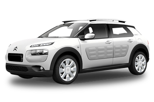 C4 Cactus