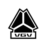 中国重汽VGV